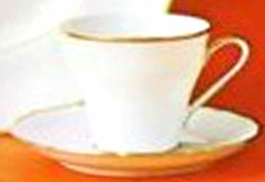 04670 Flat Cup & Saucer Set by Hutschenreuther-1
