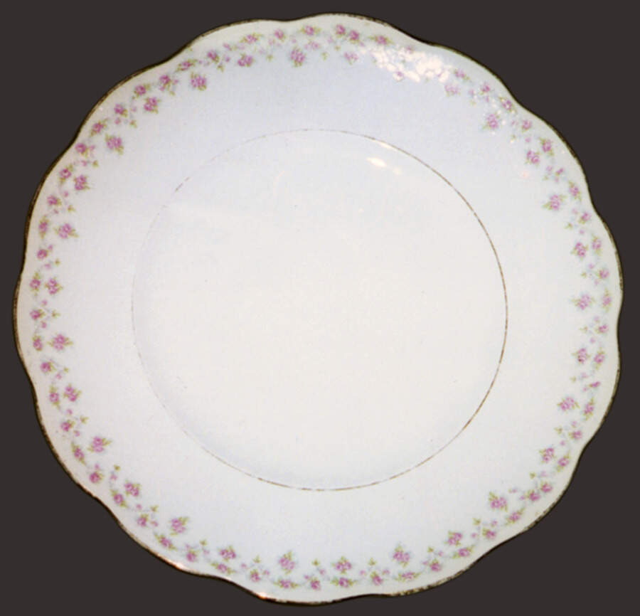 HLC1069 Dinner Plate by Homer Laughlin -1