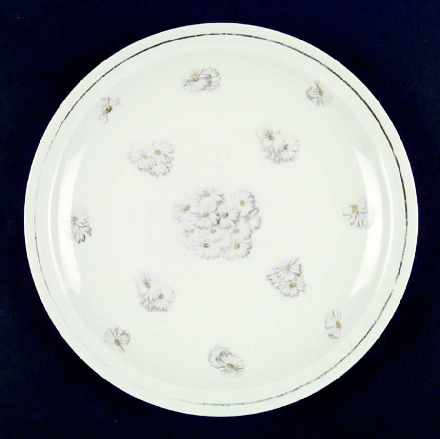 H1120 Dinner Plate by Haviland-1