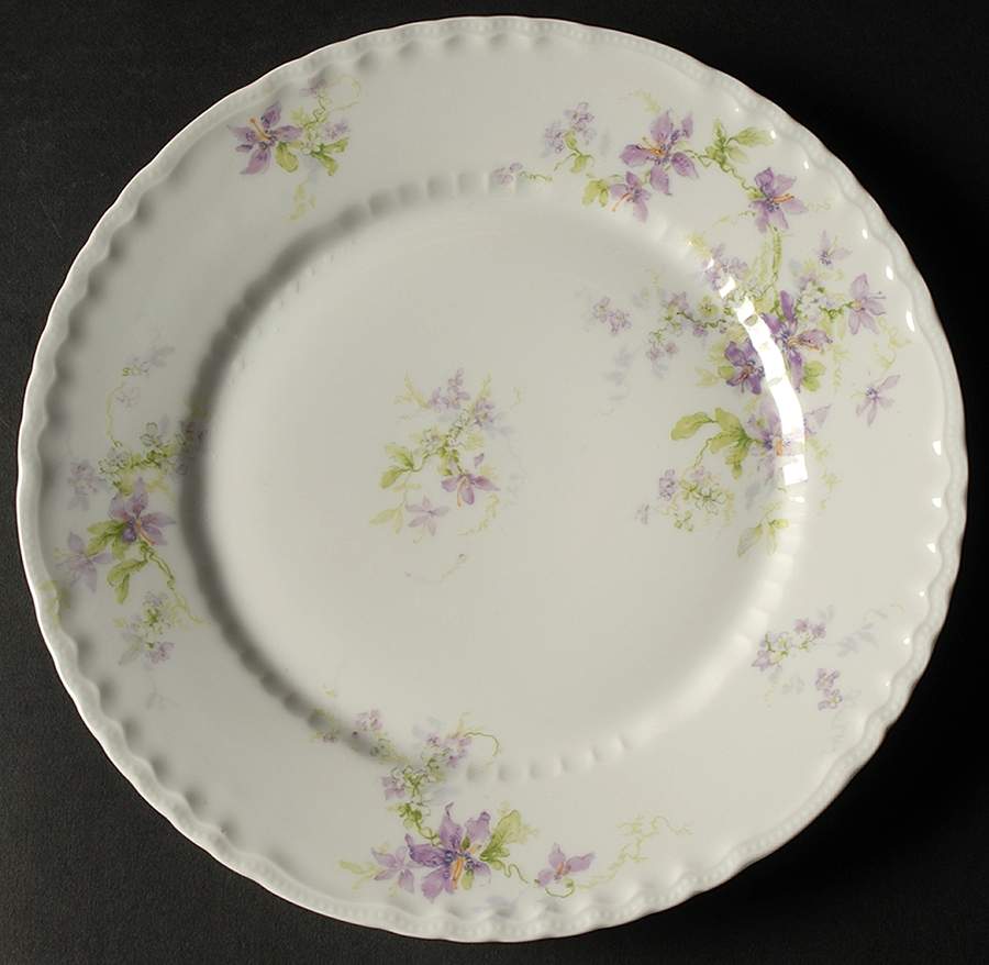 H1076 Dinner Plate by Haviland-1