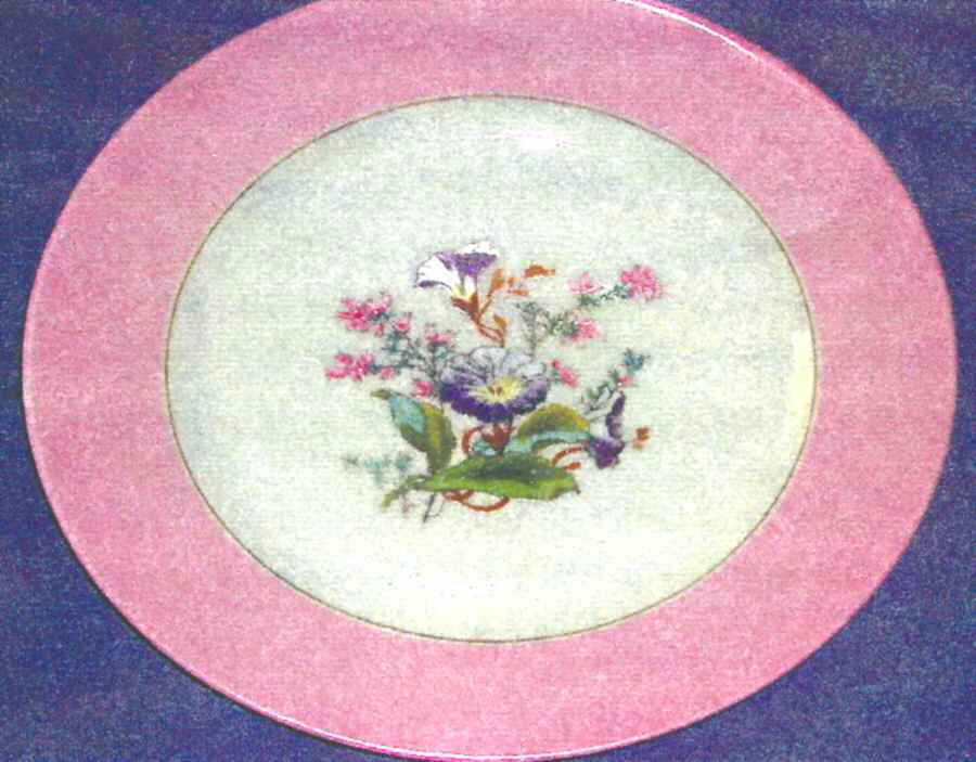 H1135 Dinner Plate by Haviland-1