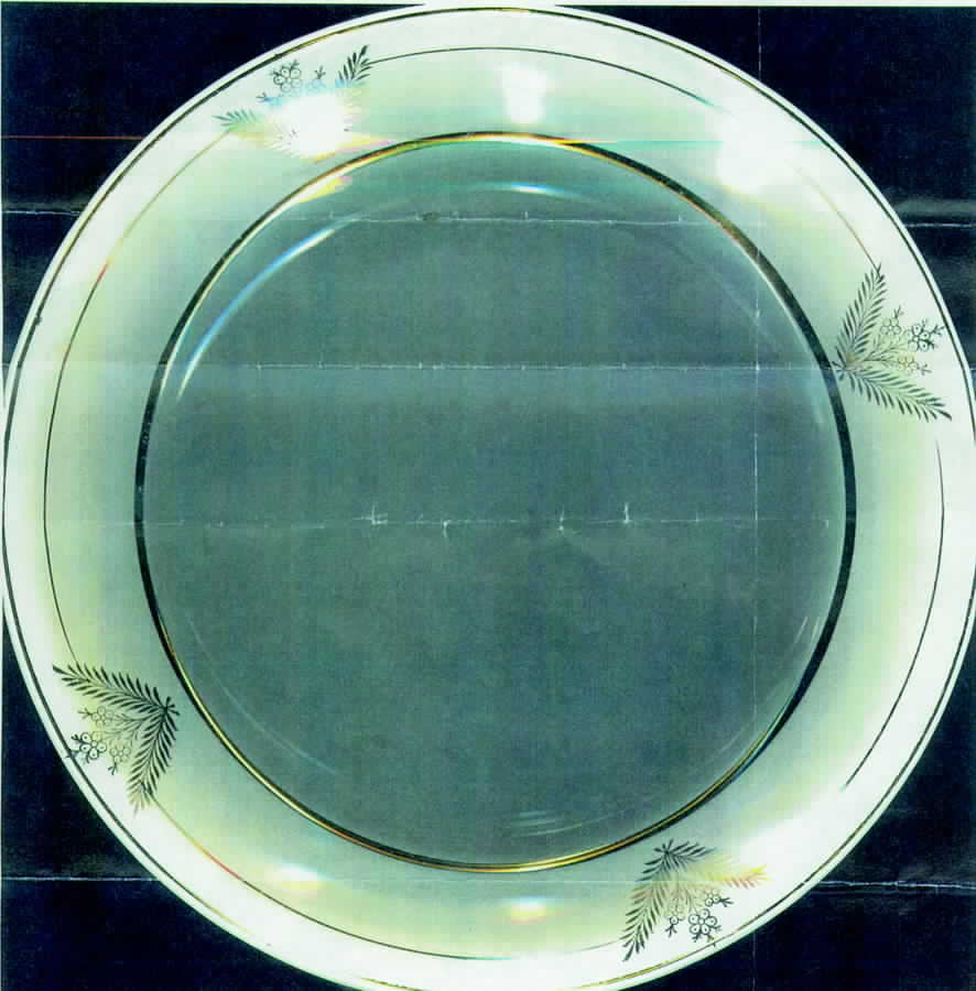 HLC1079 Dinner Plate by Homer Laughlin -1