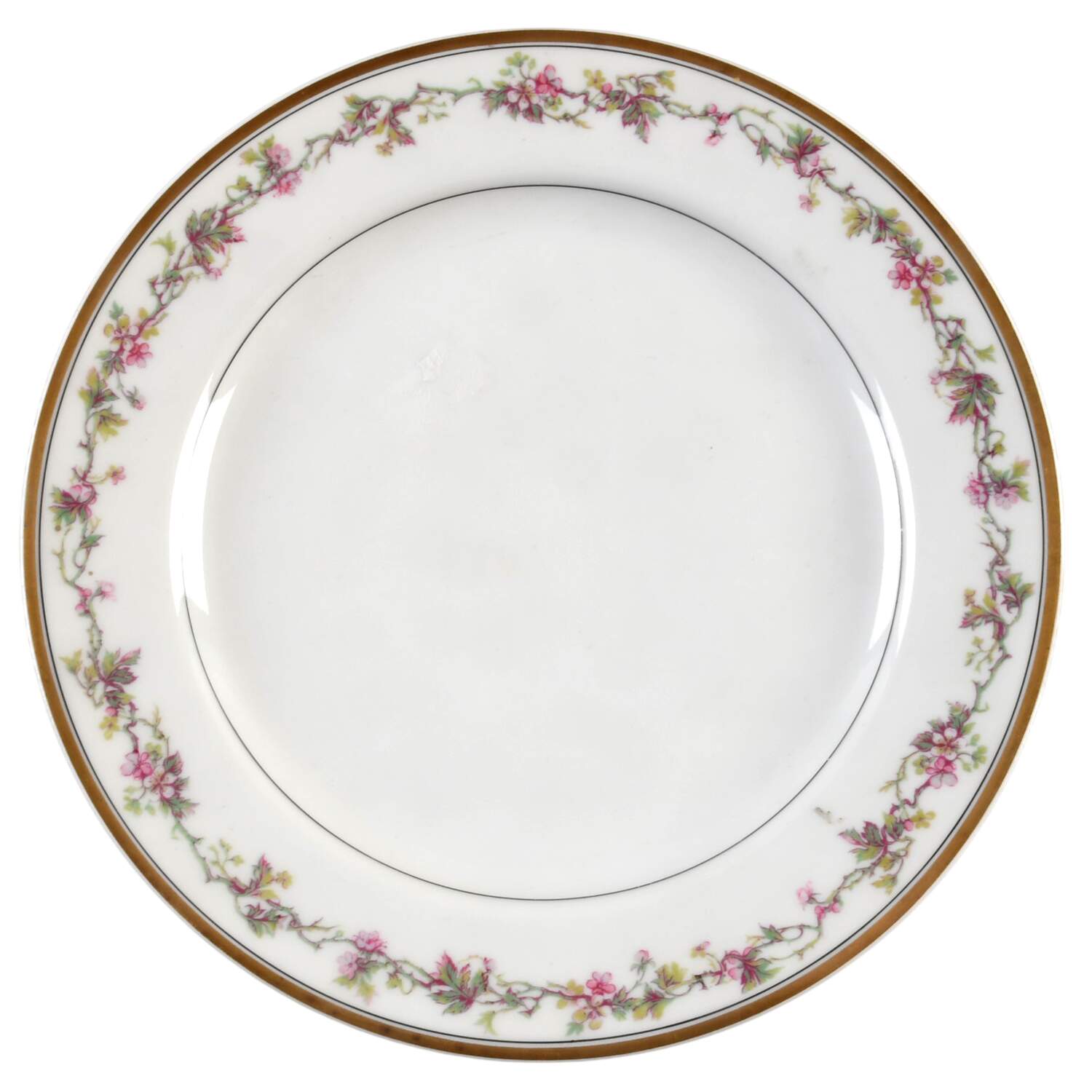 Schleiger 538a Salad Plate by Haviland-1