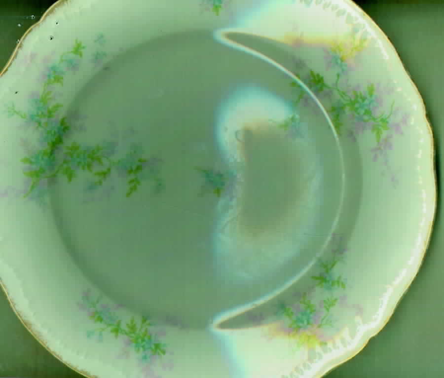 H1082 Dinner Plate by Haviland-1