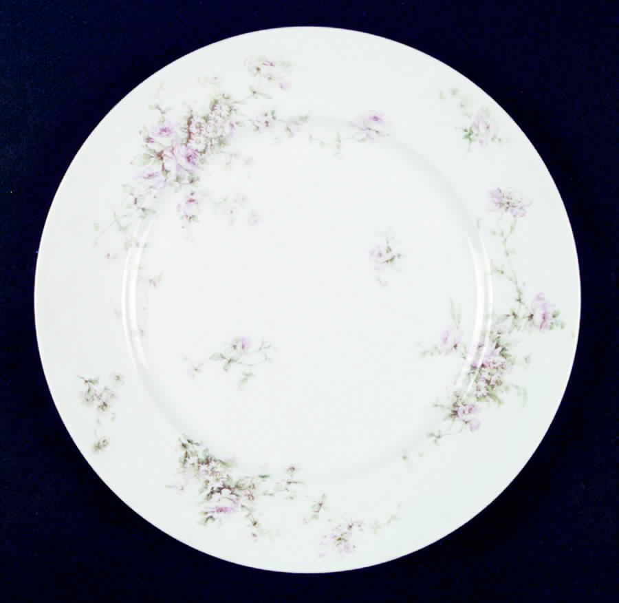 Schleiger 840-2 Dinner Plate by Haviland-1