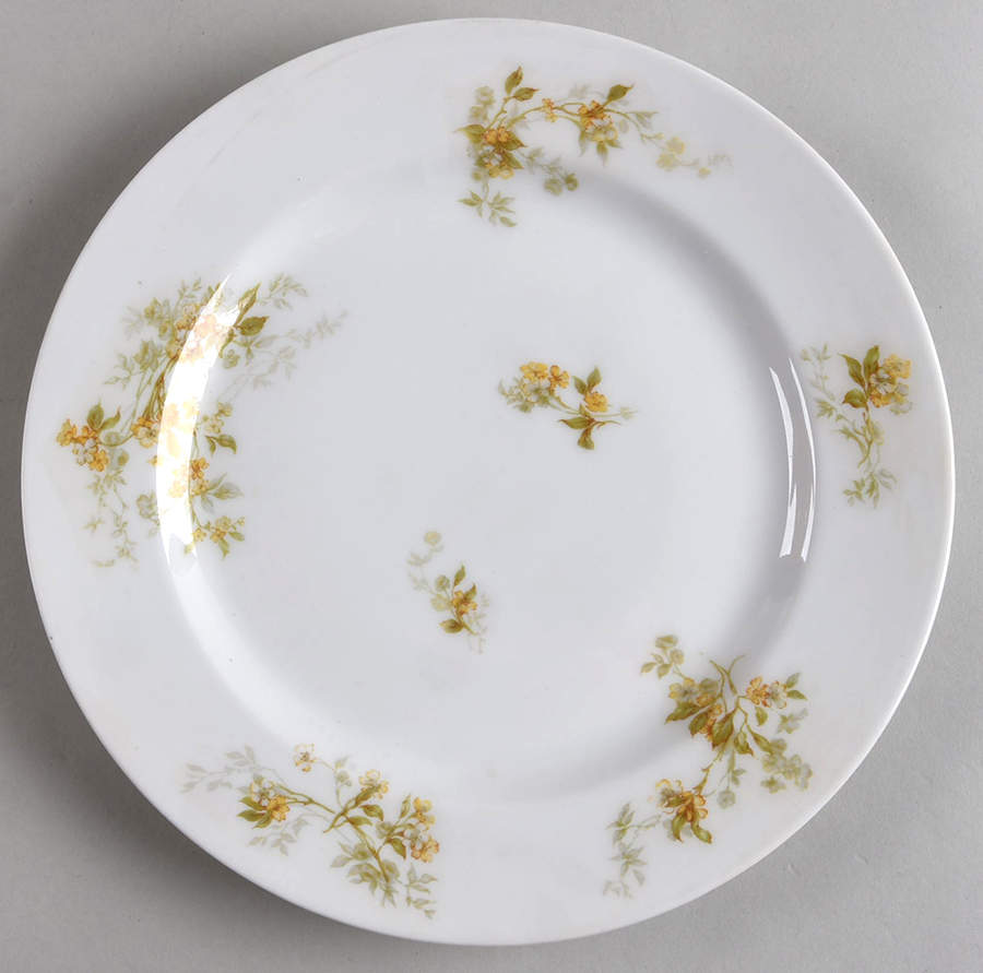 Schleiger 467c Luncheon Plate by Haviland-1