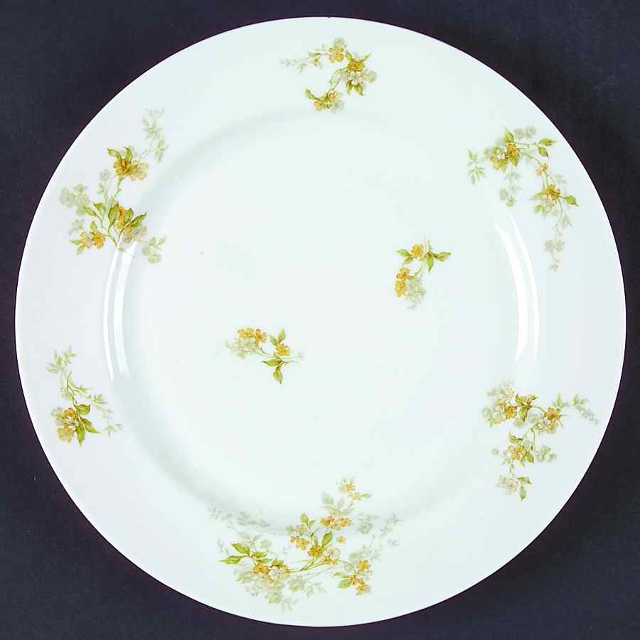 Schleiger 467c Dinner Plate by Haviland-1