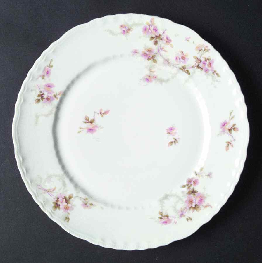 Schleiger 141-2 Dinner Plate by Haviland-1