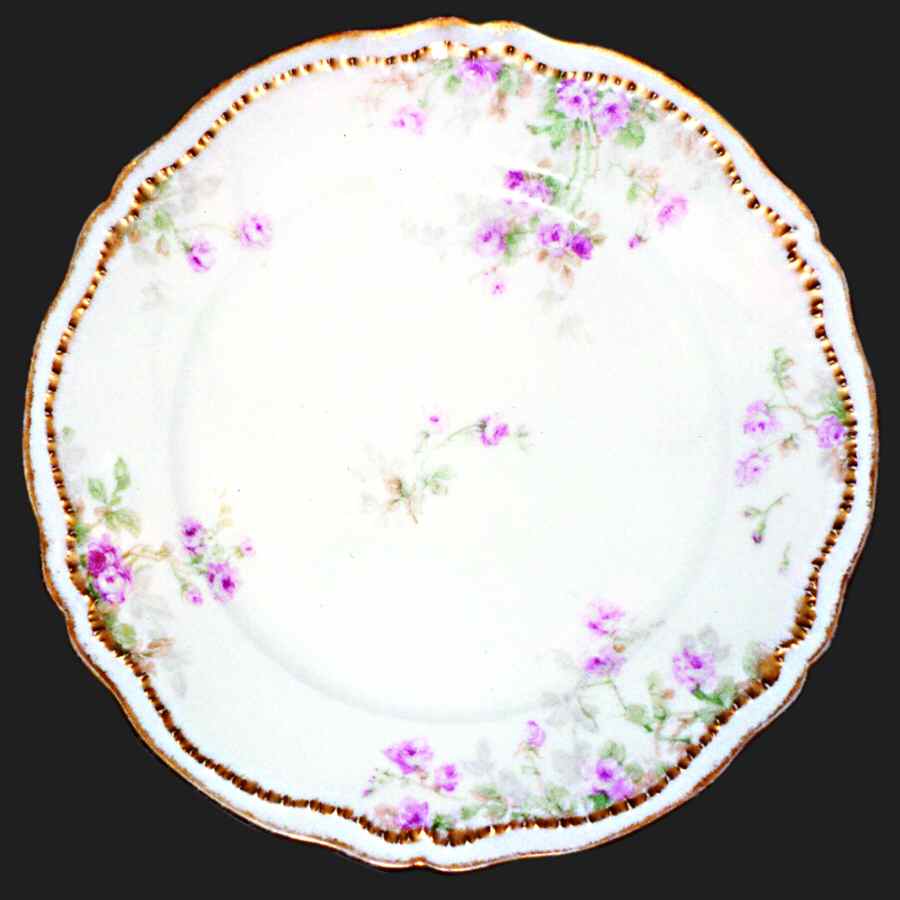 Schleiger 311 Dinner Plate by Haviland-1