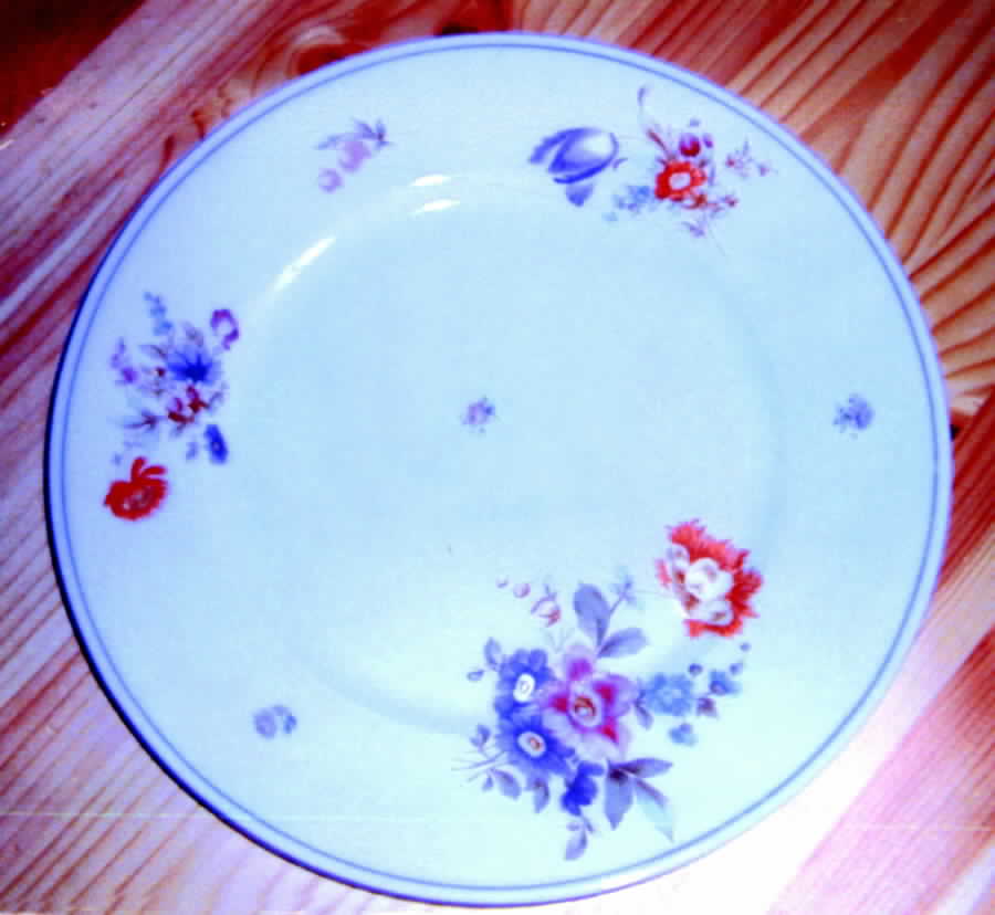 HUT775 Dinner Plate by Hutschenreuther-1