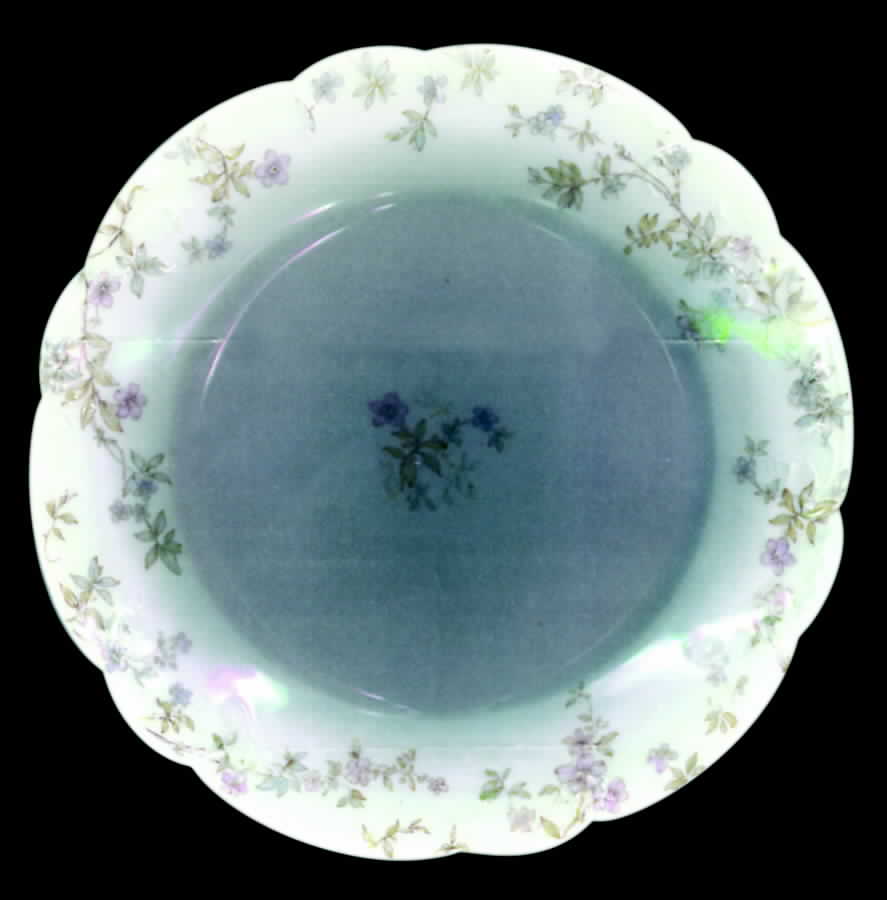 Schleiger 81A Salad Plate by Haviland-1