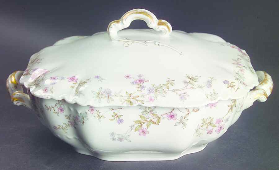 Schleiger 81A Square Covered Vegetable by Haviland-1