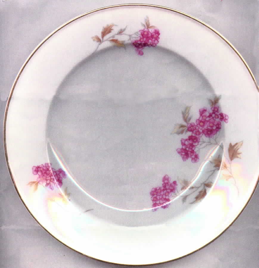 HUT776 Salad Plate by Hutschenreuther-1
