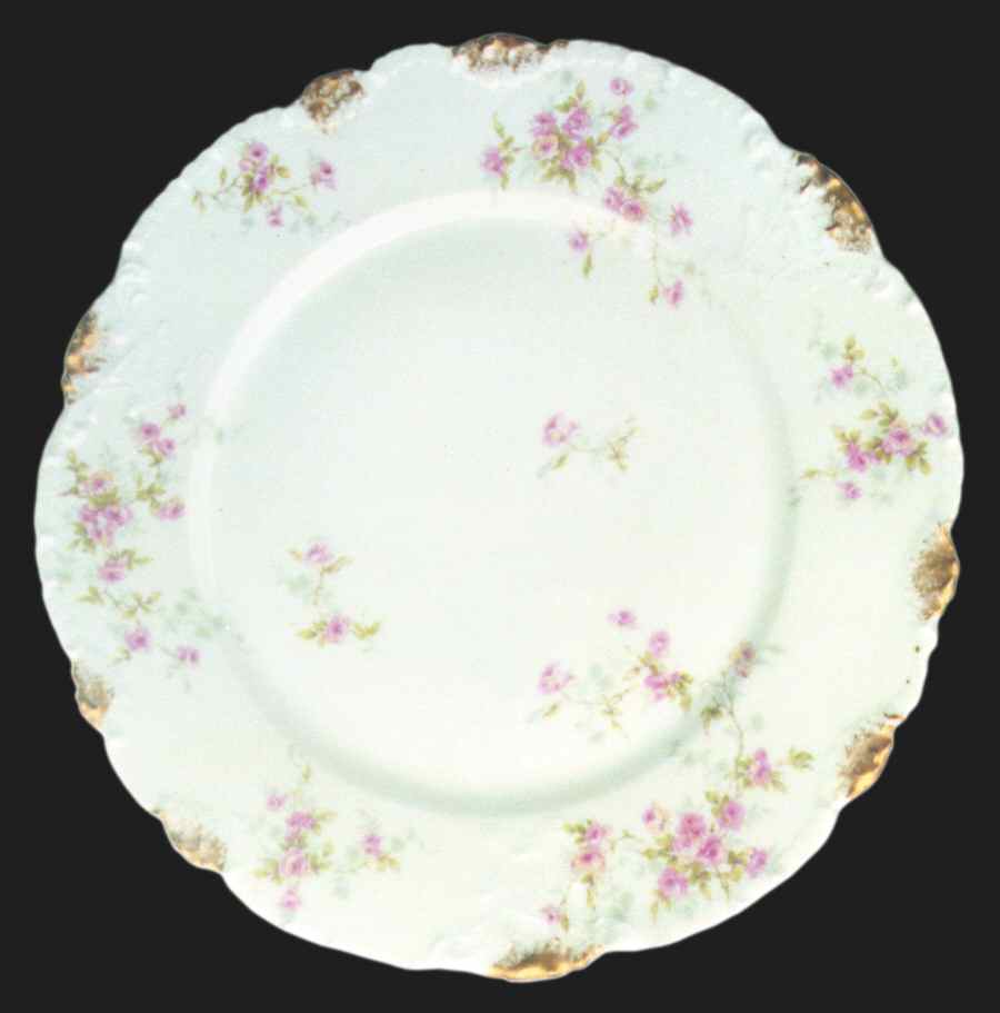 Schleiger 150dz Dinner Plate by Haviland-1