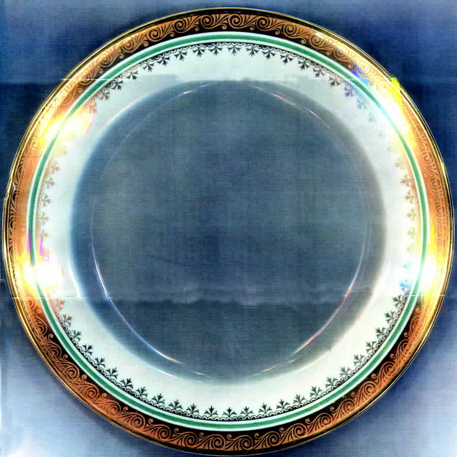 HUT783 Dinner Plate by Hutschenreuther-1