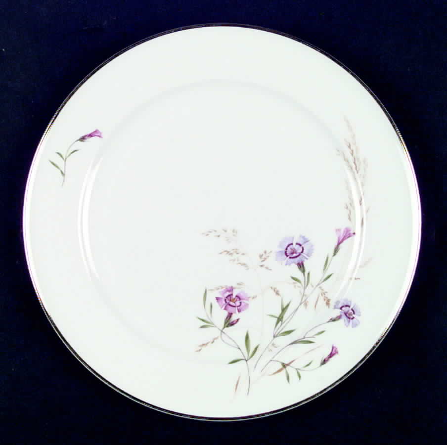 HUT787 Dinner Plate by Hutschenreuther-1