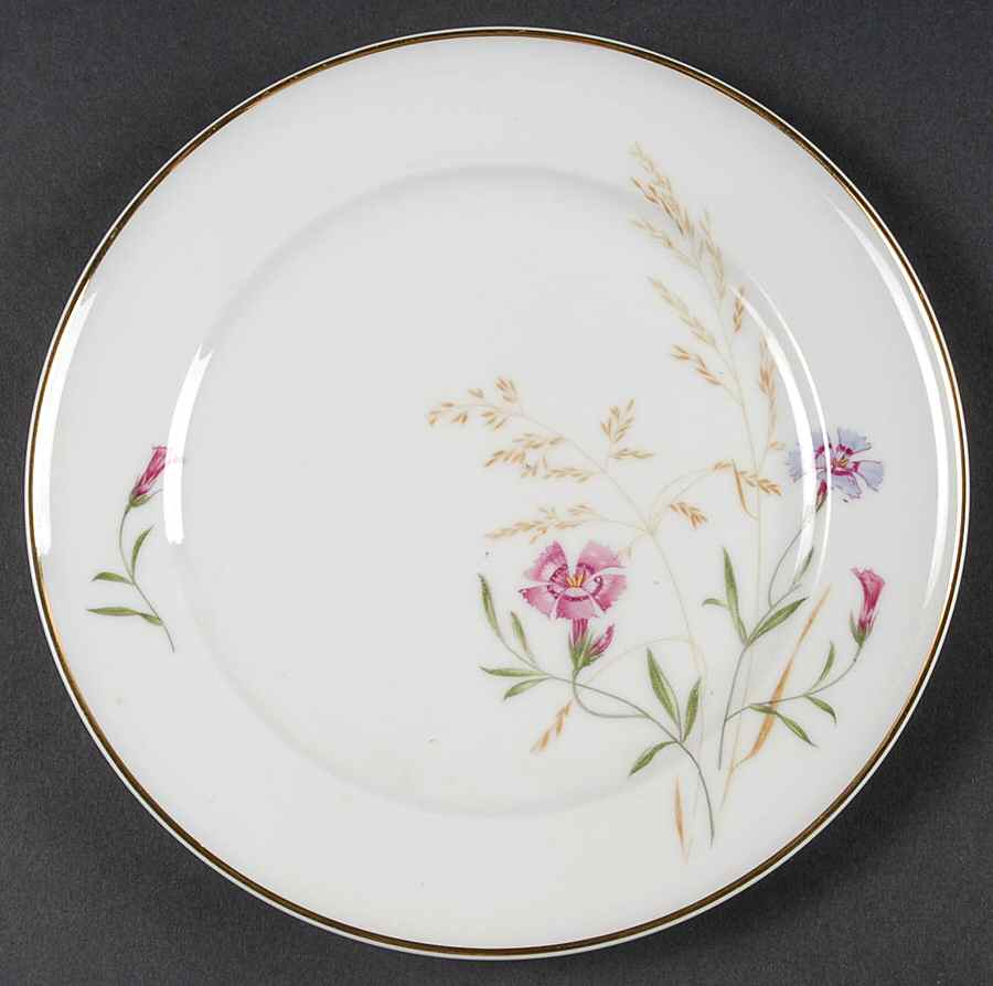 HUT787 Salad Plate by Hutschenreuther-1