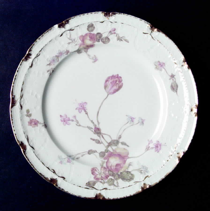 H1096 Dinner Plate by Haviland-1