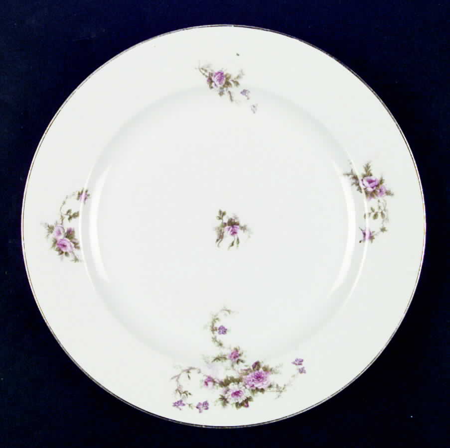 HUT778 Dinner Plate by Hutschenreuther-1