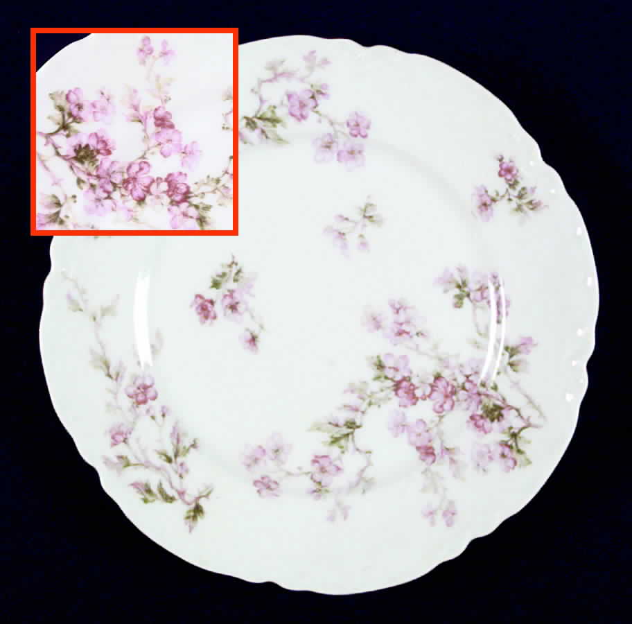 Schleiger 58G Salad Plate by Haviland-1