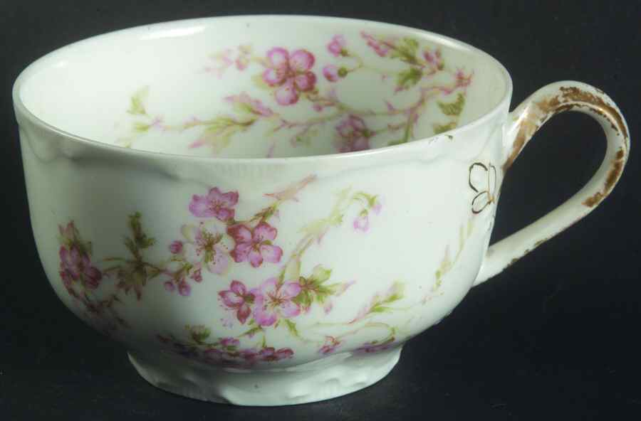 Schleiger 58G Flat Cup by Haviland-1