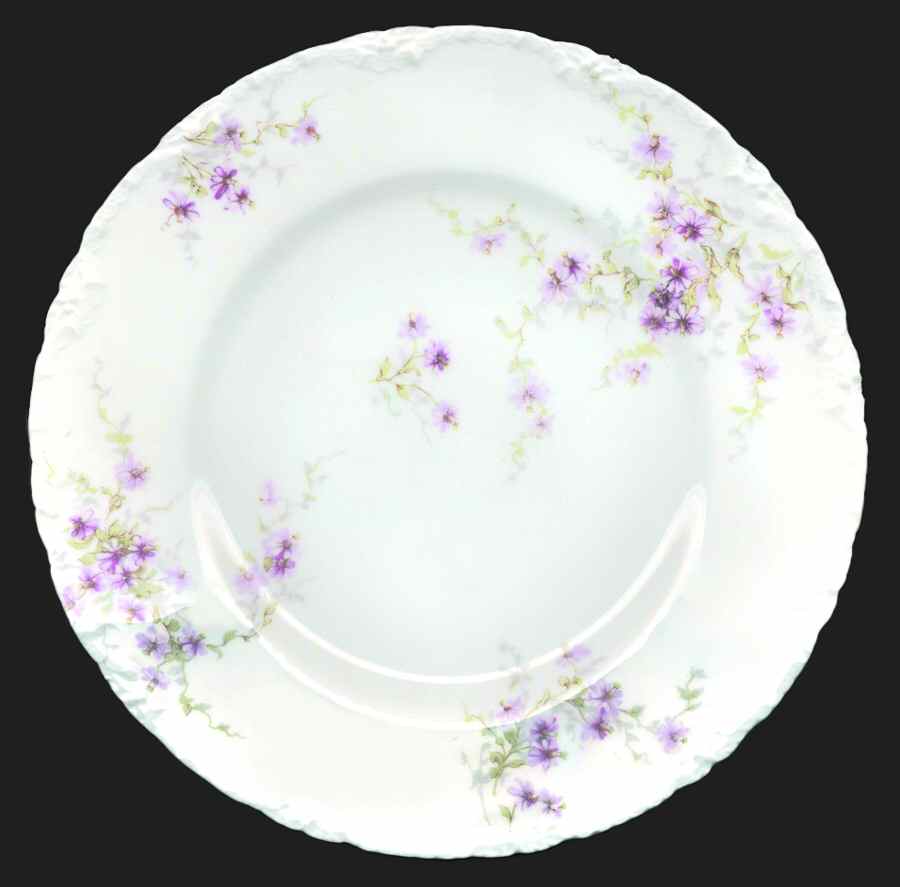 Schleiger 314-1 Salad Plate by Haviland-1