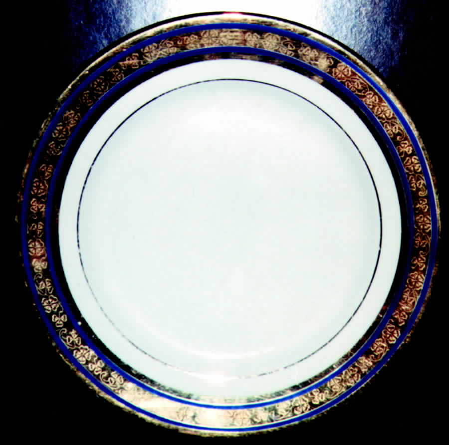 HLC1101 Dinner Plate by Homer Laughlin -1