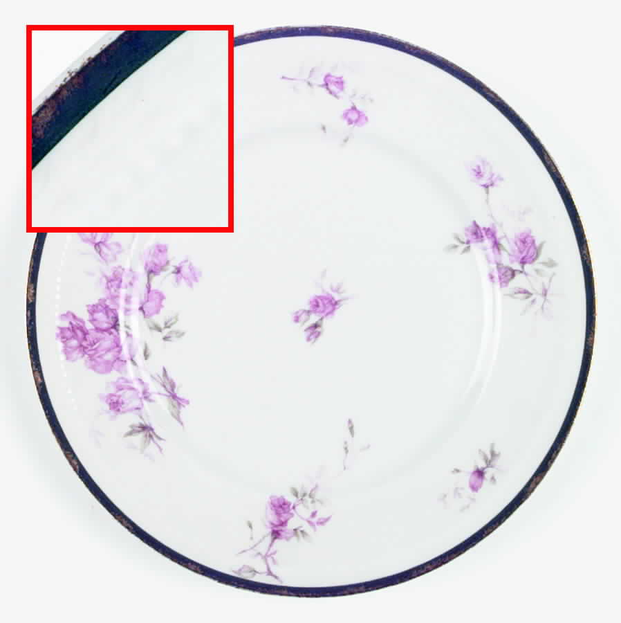 H1106 Dinner Plate by Haviland-1