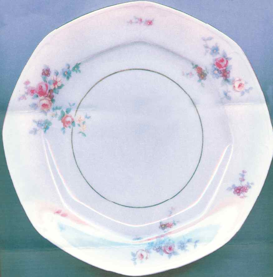 HWC54 Salad Plate by HW (Germany, Czech)-1