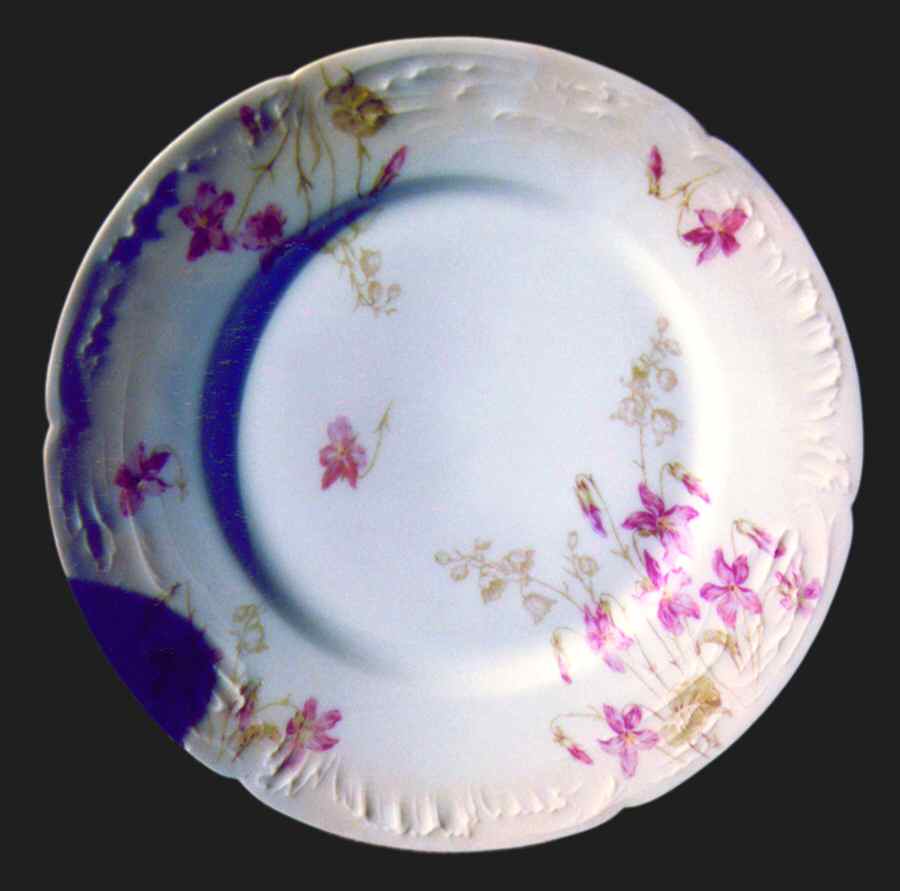 Schleiger 1013-1 Dinner Plate by Haviland-1