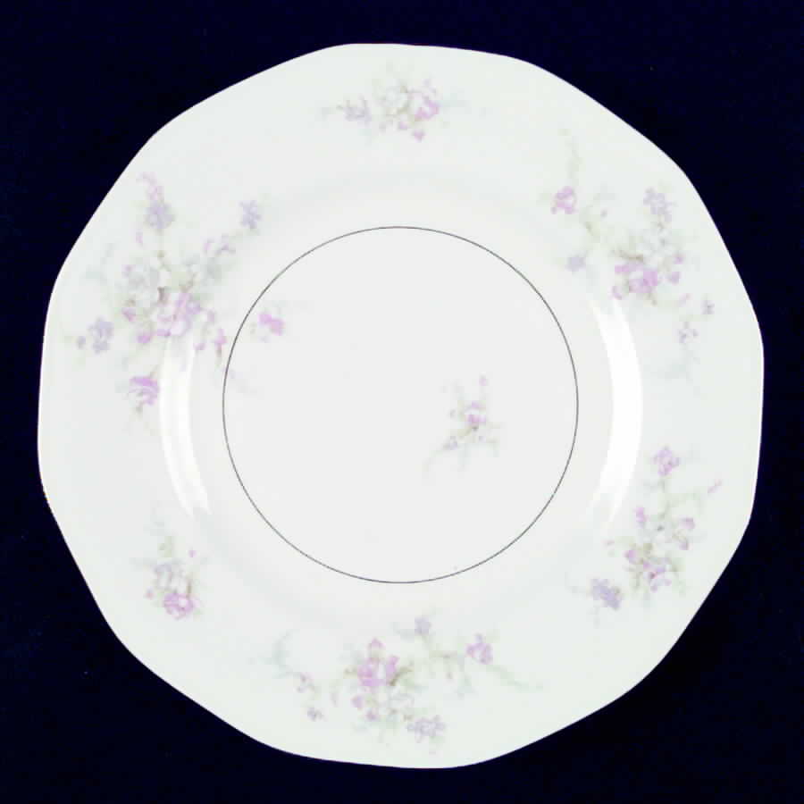 H1107 Dinner Plate by Haviland-1