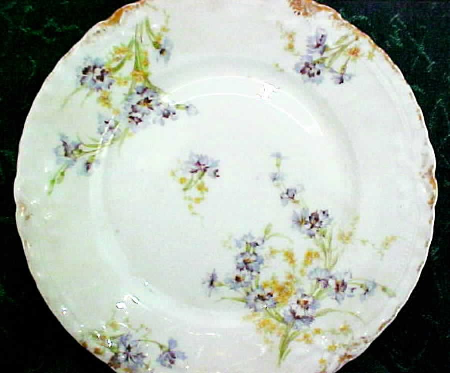 Schleiger 603-1 Dinner Plate by Haviland-1