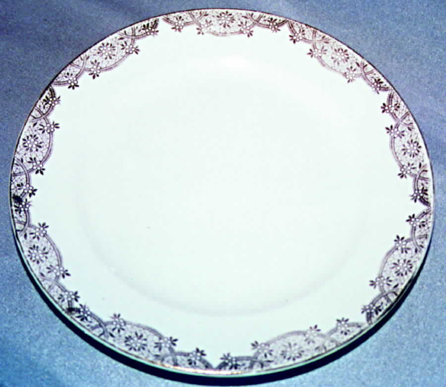 HLC1105 Dinner Plate by Homer Laughlin -1