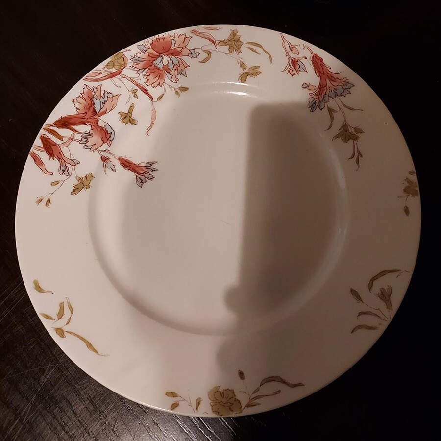 Schleiger 1158-3 Dinner Plate by Haviland-1