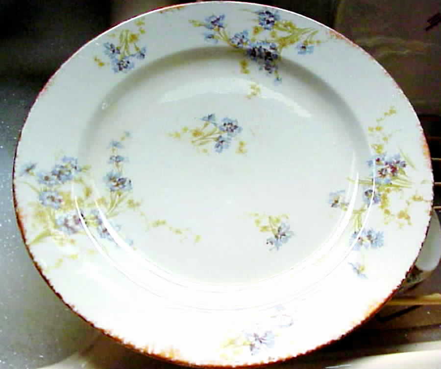 Schleiger 603-3 Dinner Plate by Haviland-1