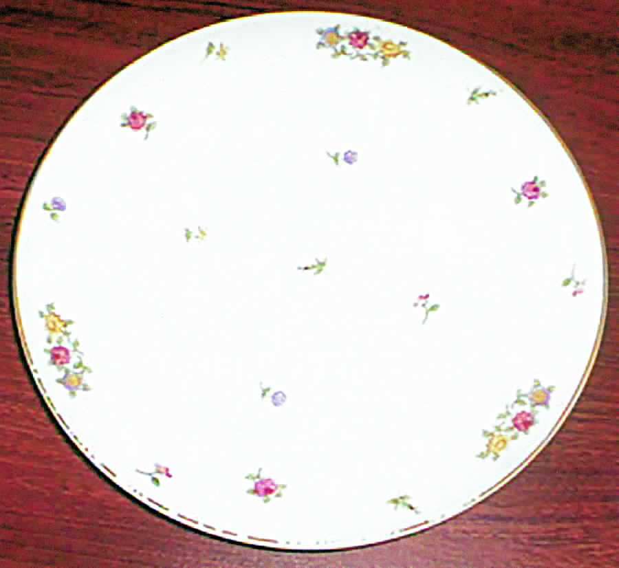 HUT766 Dinner Plate by Hutschenreuther-1