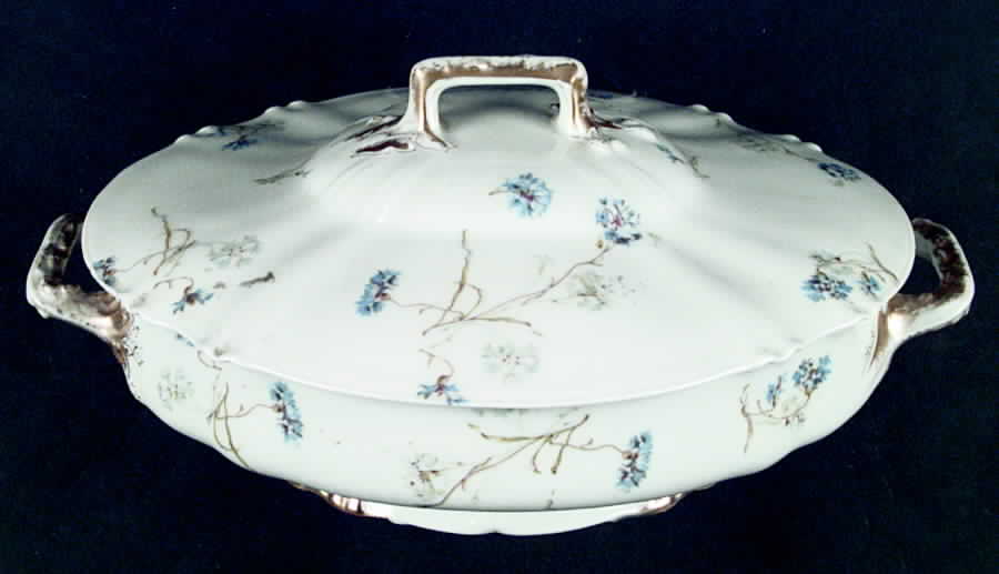 H1161 Oval Covered Vegetable by Haviland-1