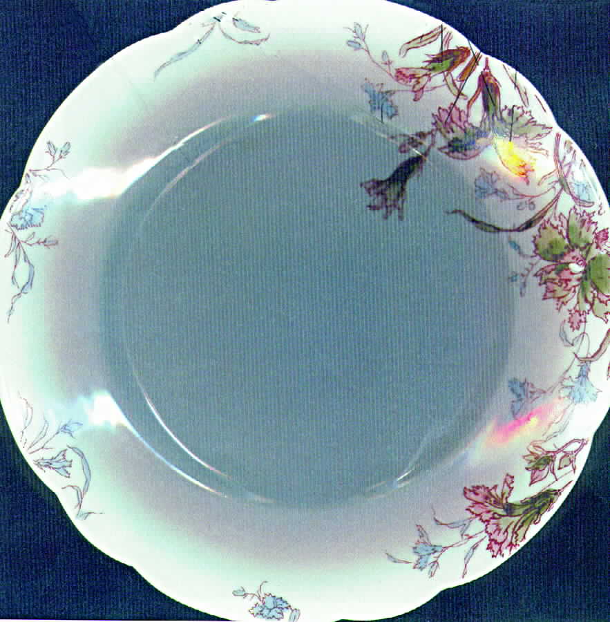 Schleiger 1158-4 Dinner Plate by Haviland-1