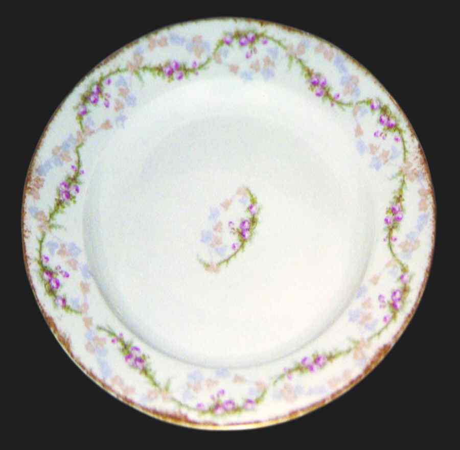 H1168 Dinner Plate by Haviland-1