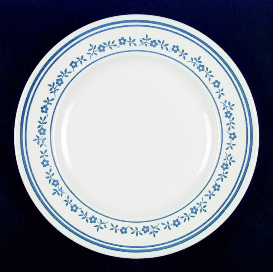 HLC1111 Dinner Plate by Homer Laughlin -1