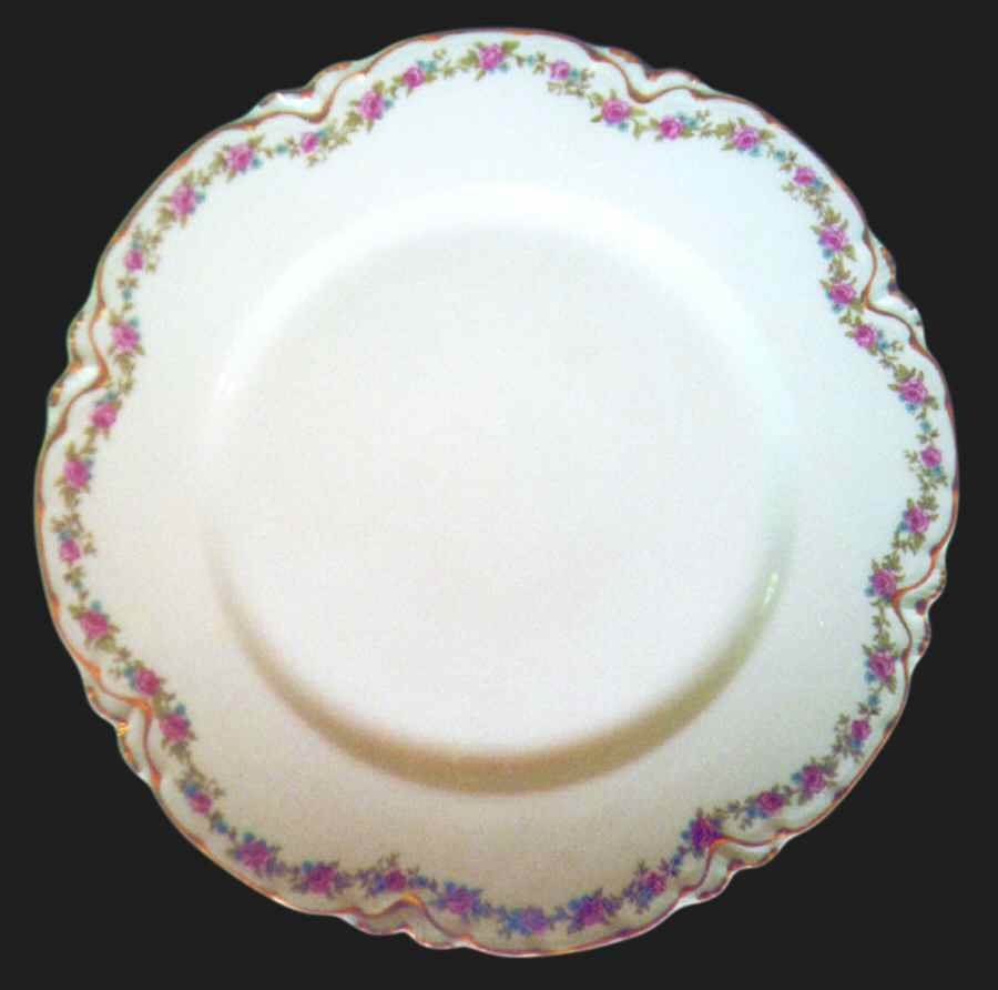 Schleiger 1215-1 Dinner Plate by Haviland-1
