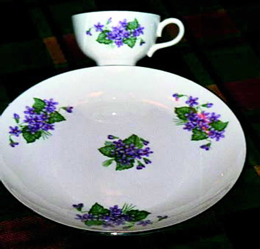 RY203 Dinner Plate by Homer Laughlin -1