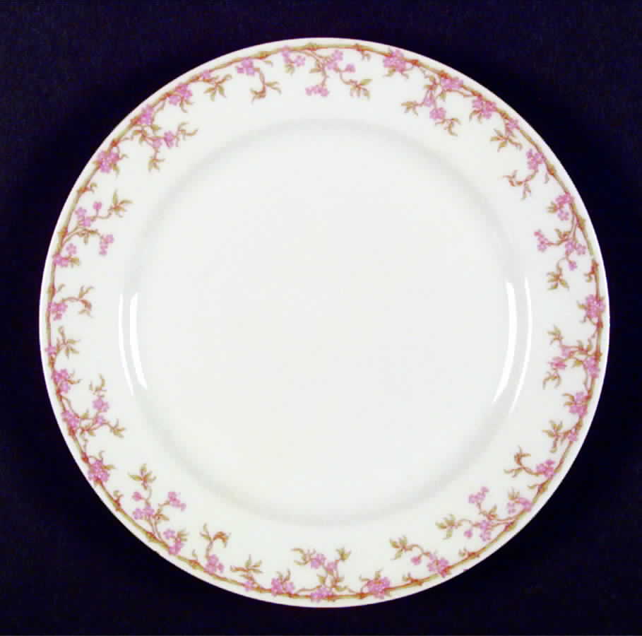 Schleiger 548-1 Salad Plate by Haviland-1