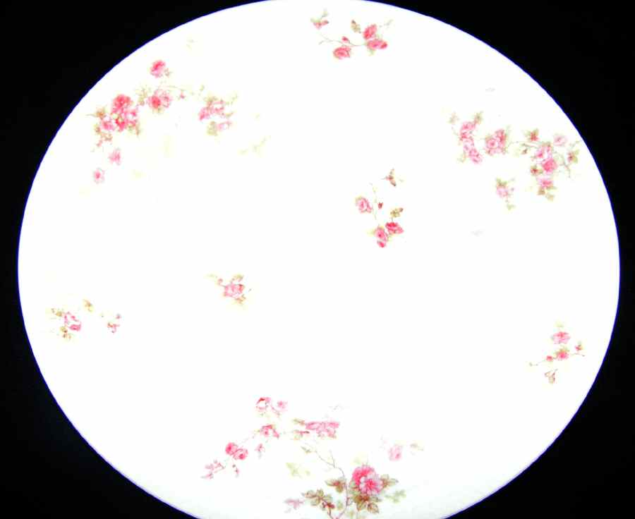 Schleiger 42t Dinner Plate by Haviland-1