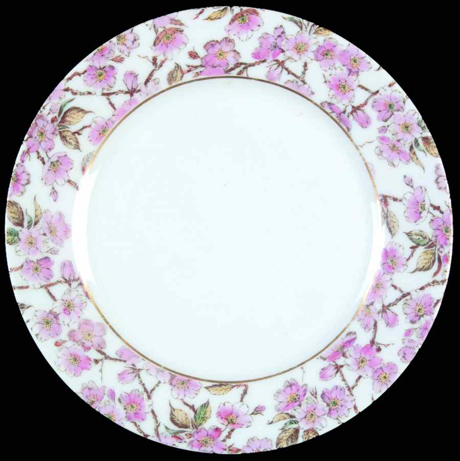 Schleiger 1187 Salad Plate by Haviland-1
