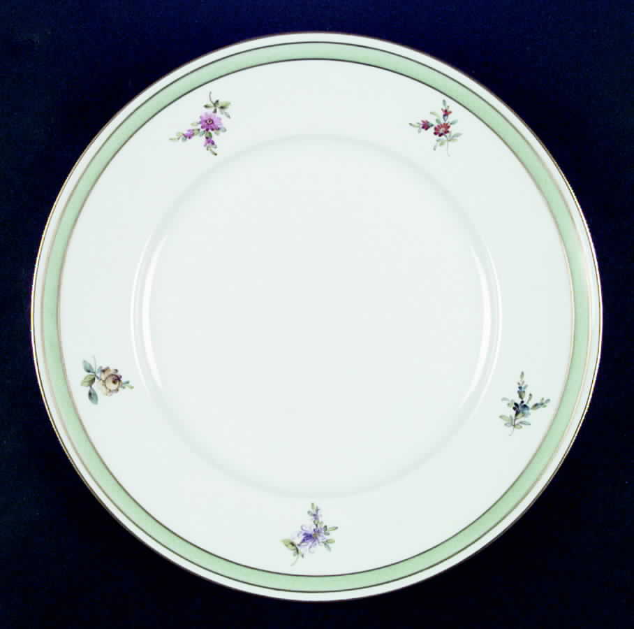 HST1 Dinner Plate by Hochst-1