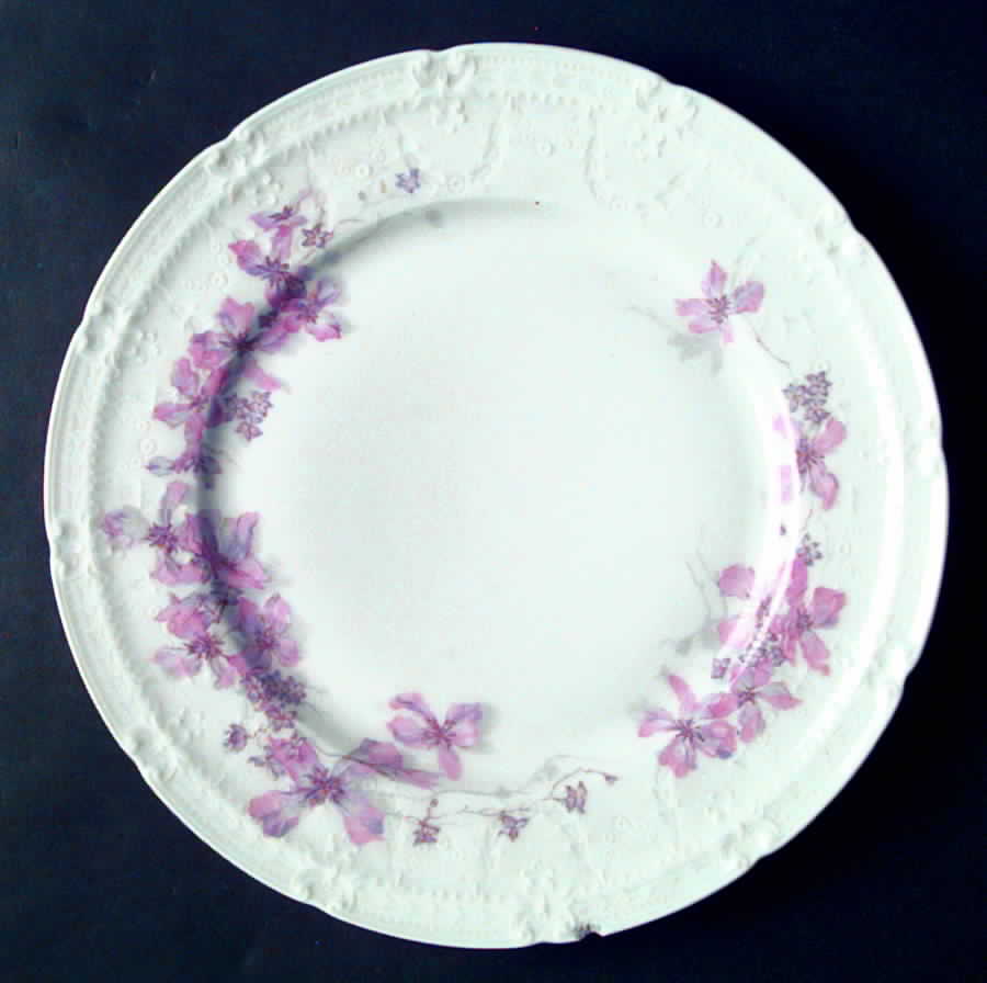 H1185 Dinner Plate by Haviland-1