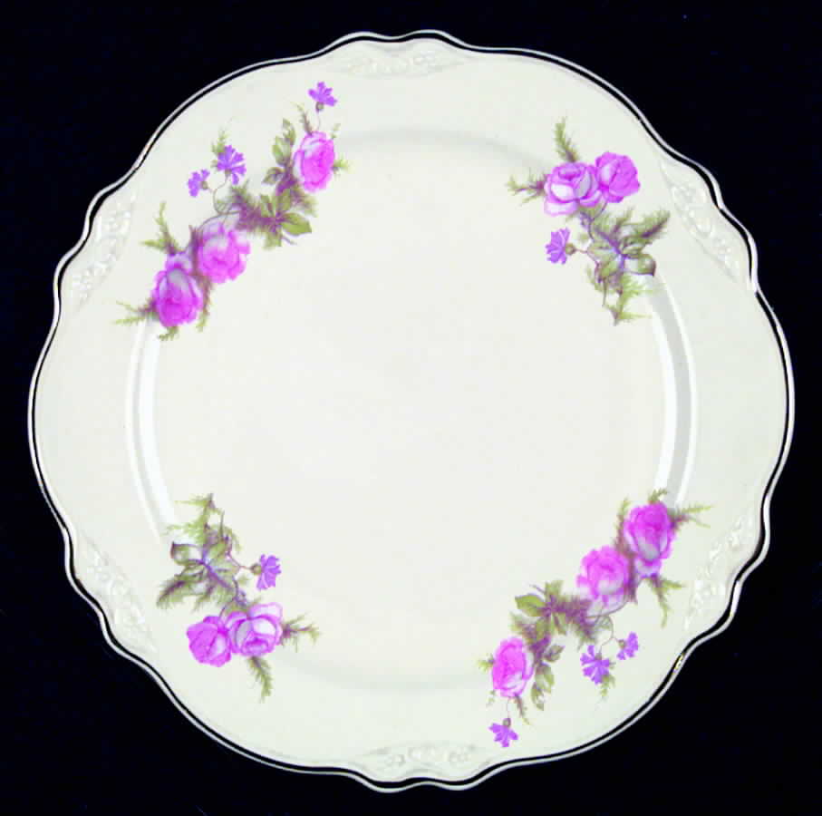HLC1121 Dinner Plate by Homer Laughlin -1