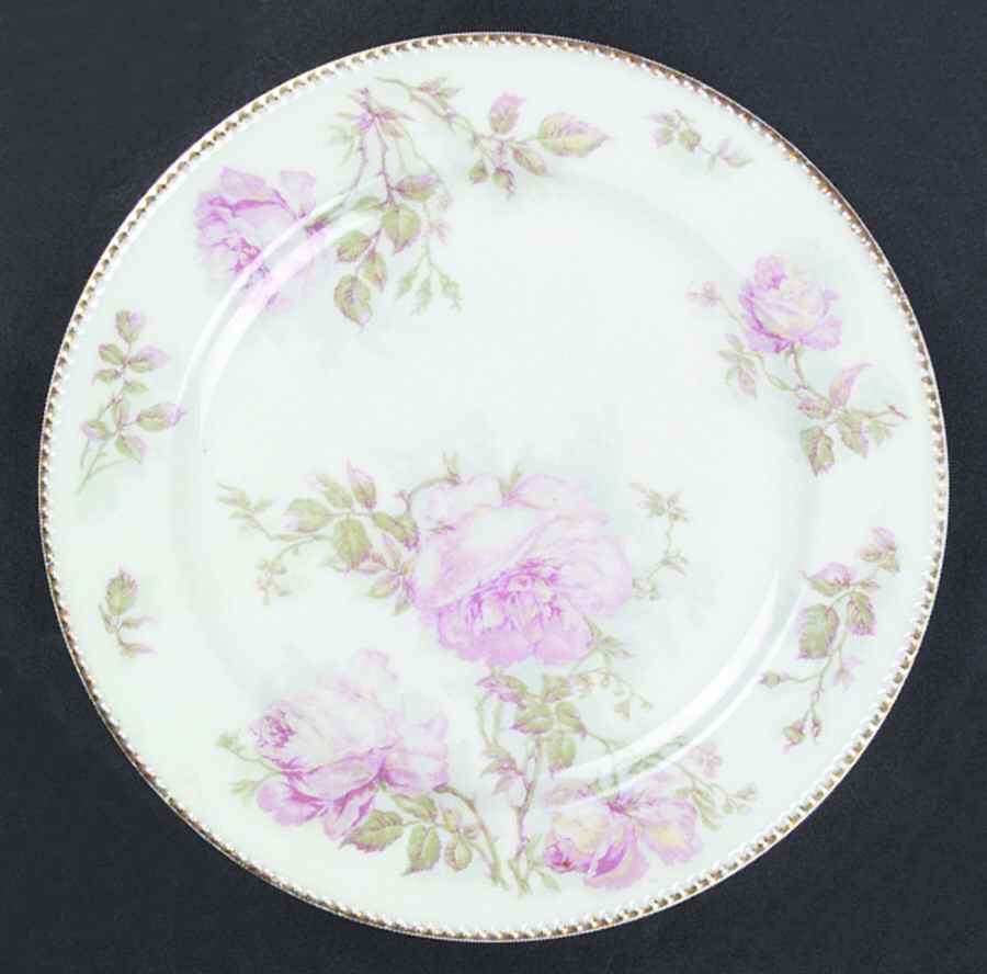 Schleiger 1134-1 Dinner Plate by Haviland-1