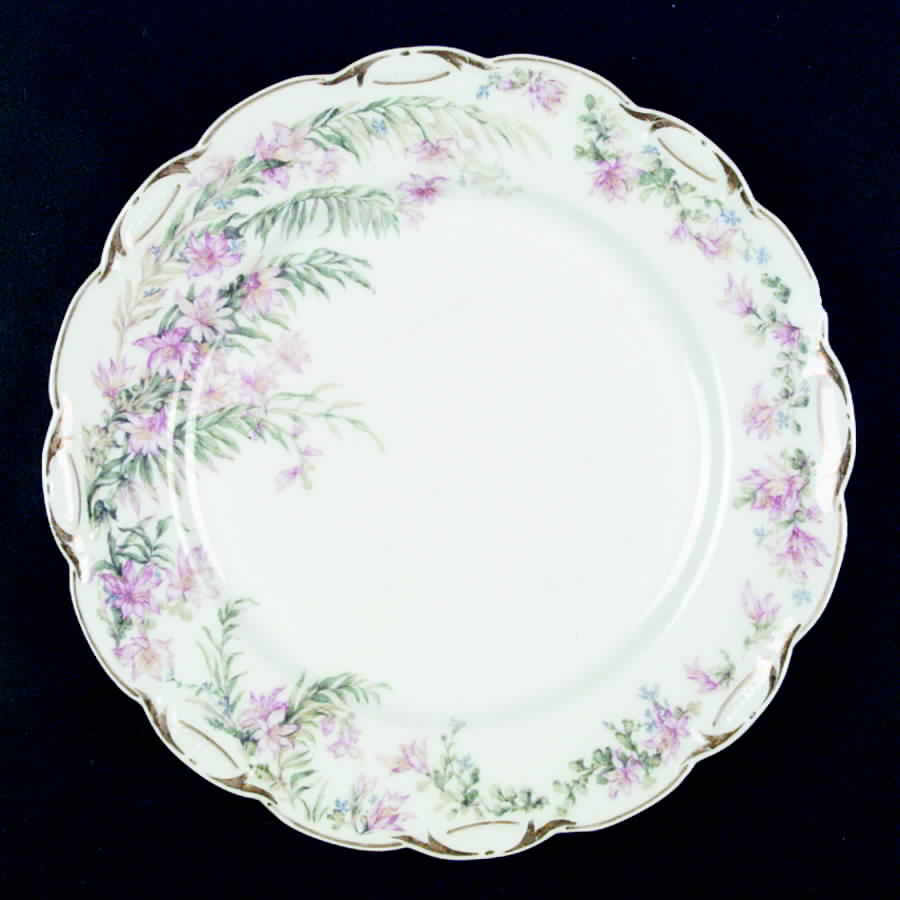 H1194 Dinner Plate by Haviland-1